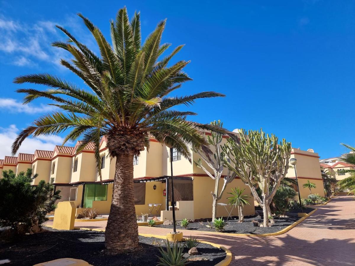 Ocean Forty C Apt. Green Oasis Costa Calma Fue 外观 照片