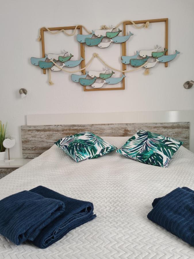 Ocean Forty C Apt. Green Oasis Costa Calma Fue 外观 照片